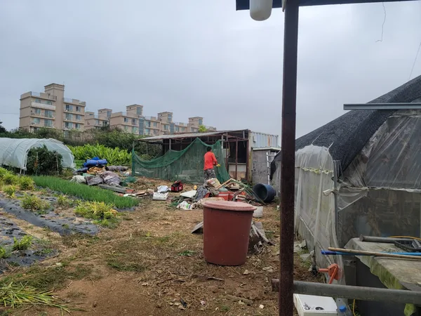 석적읍 철거 이미지